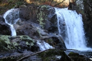 Ruta: fervenzas do río Zarzo (Irixoa)